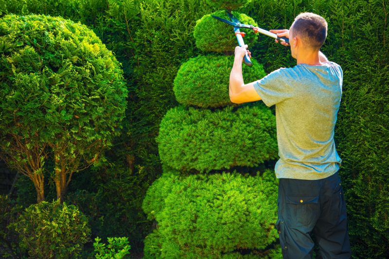 Shrubs with Clean Cuts