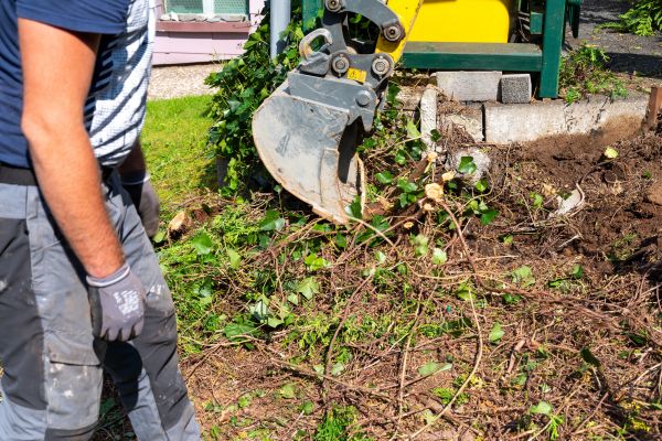 Cost of Hedge Removal Service in Gilroy