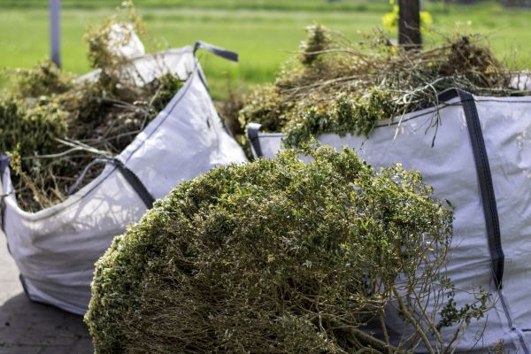 Cost of Plant Removal Service in Gilroy