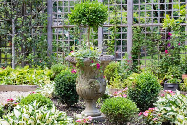 Cost of Topiary Pruning in Gilroy