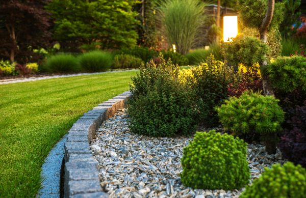 Cost of Bush Relocation in Gilroy
