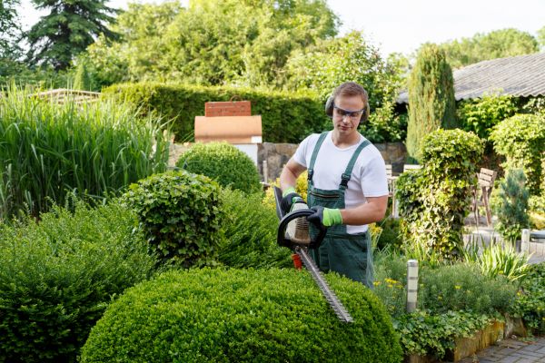 Cost of Shrubs Trimming in Gilroy